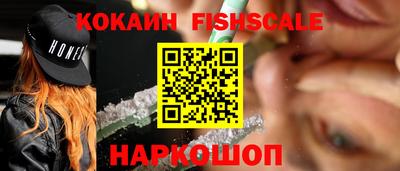 соль ск Партизанск