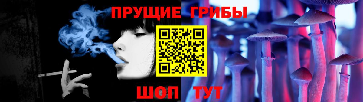 Псилоцибиновые грибы Psilocybine cubensis Солнечногорск